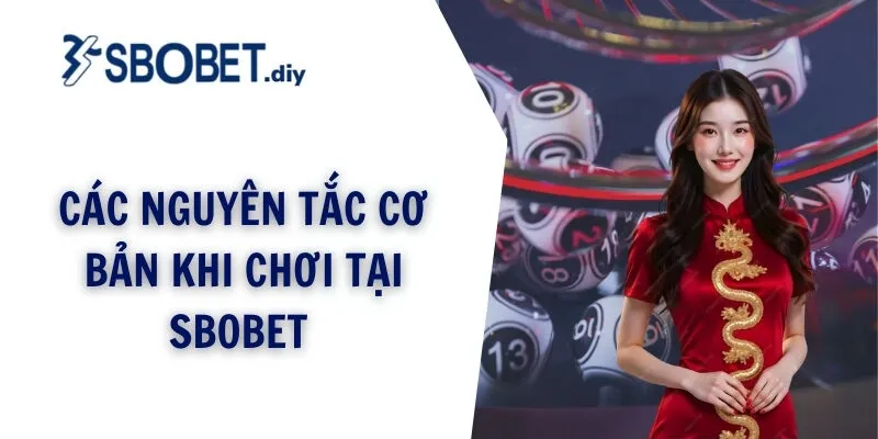 Các nguyên tắc cơ bản khi chơi tại sbobet 