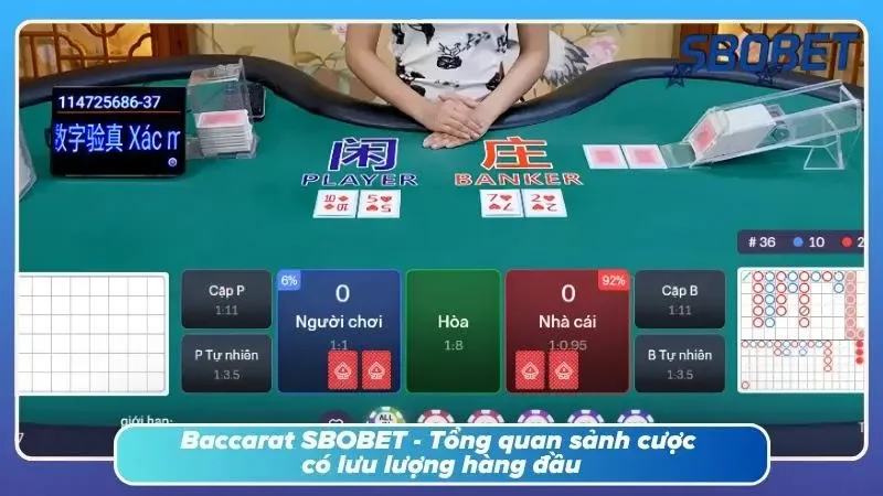 Giao diện sảnh cược baccarat SBOBET trực tuyến hiện đại với lưu lượng cực đỉnh