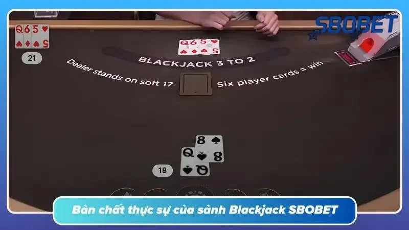 “Sự thật” phía sau sảnh Blackjack