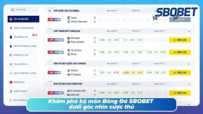 Một bảng kèo chất lượng luôn bắt đầu từ nền tảng vận hành ổn định