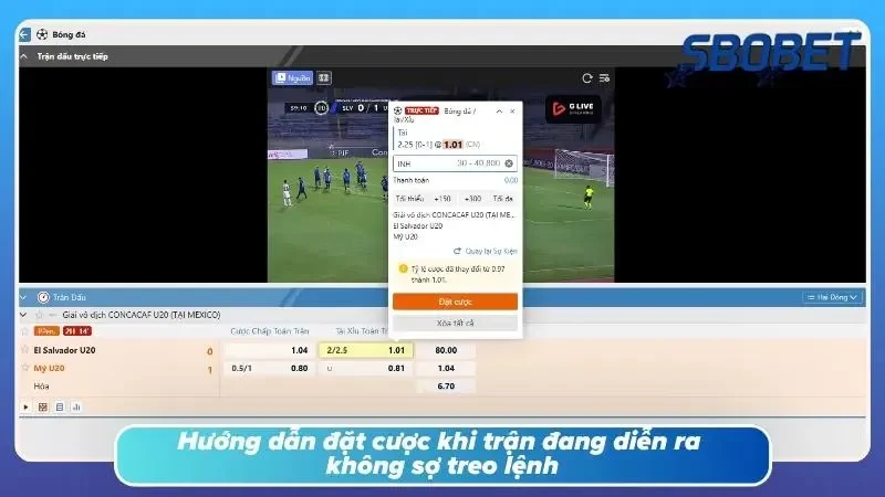 Đúng quy trình sẽ giảm đáng kể nguy cơ lỡ nhịp cược đẹp