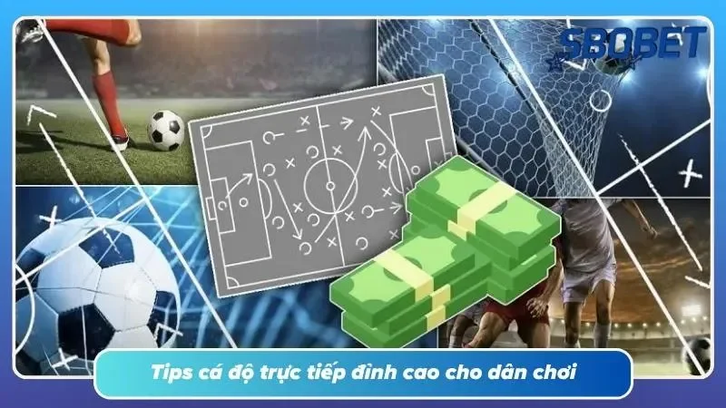 Kinh nghiệm thực chiến luôn tạo khoảng cách với số đông