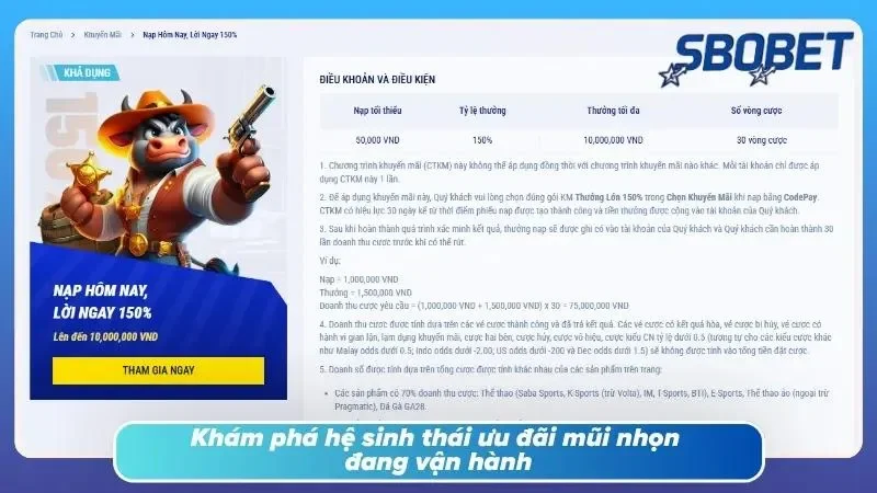 Không phải gói nào cũng dành cho mọi chiến thuật
