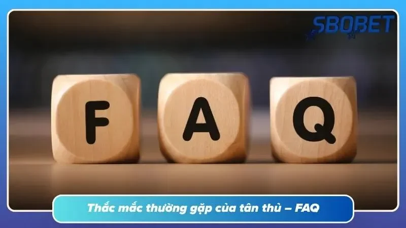 Hướng dẫn giải đáp cho người chơi mới