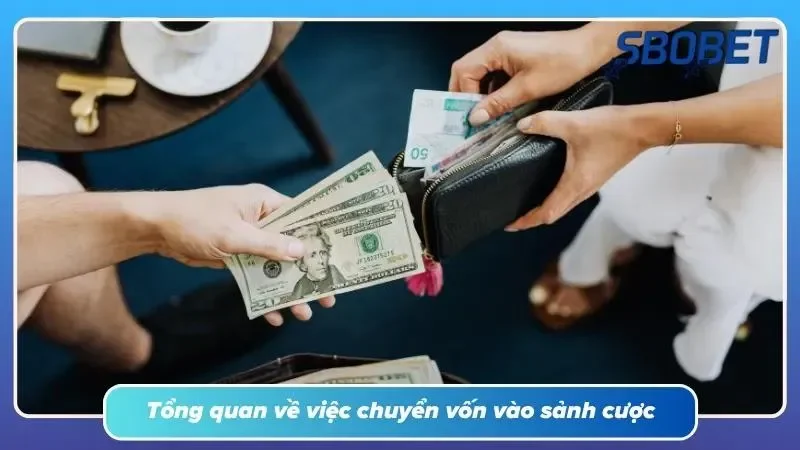 Giao diện cổng thanh toán cá cược trực tuyến đa dạng