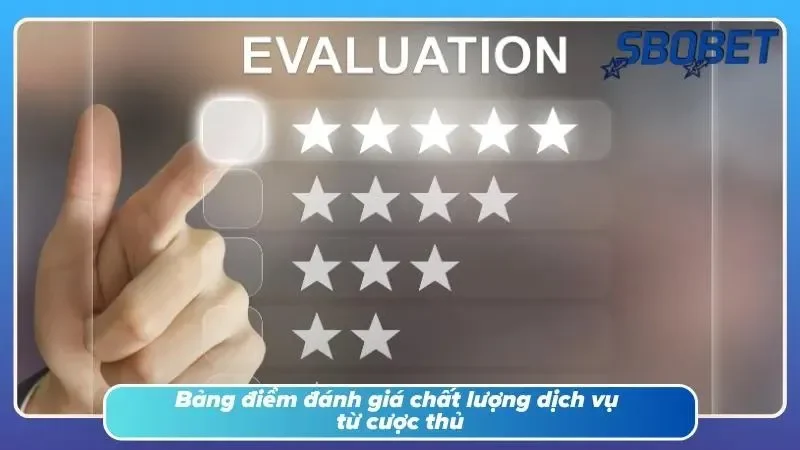 Góc nhìn khách quan về hiệu suất vận hành và hỗ trợ khách hàng
