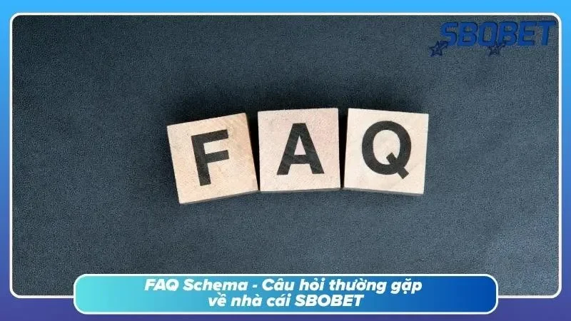 Cẩm nang giải đáp các thắc mắc thường gặp khi sử dụng tài khoản
