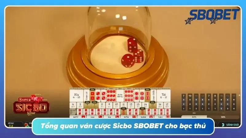 Sơ bộ thông tin cần thiết về ván cược Sicbo cho anh em