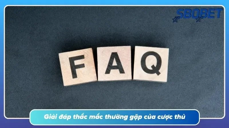 Những phản hồi từ cộng đồng thành viên tham gia
