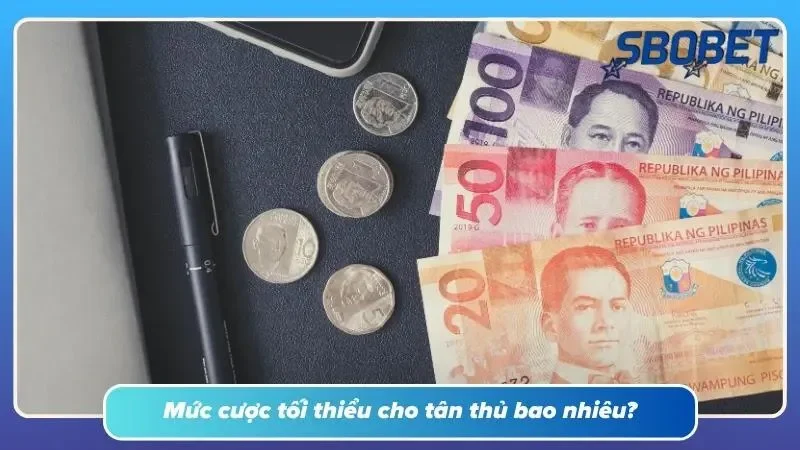 Hạn mức đặt cược đáy của tân thủ bao nhiêu?