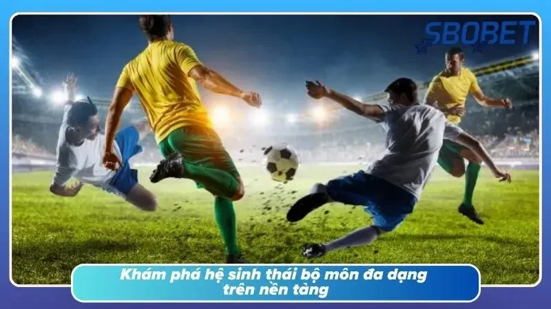 Mỗi bộ môn đều mở ra một hướng khai thác lợi nhuận khác nhau