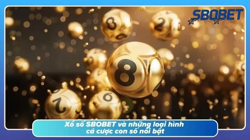 Nhiều hình thức dự đoán kết quả mang đến trải nghiệm giải trí đa dạng hấp dẫn